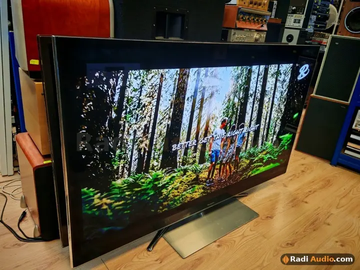 PANASONIC TX-P65VTW60