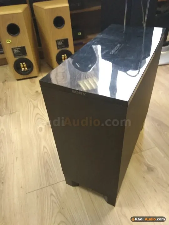 SONY SA-WSF200